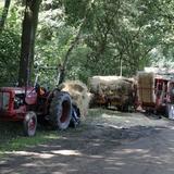 Aalten, Oogstfeest t Noorden, 14 augustus 2016 065.jpg